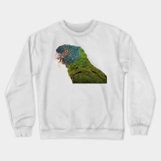 Blue-headed Macaw Crewneck Sweatshirt